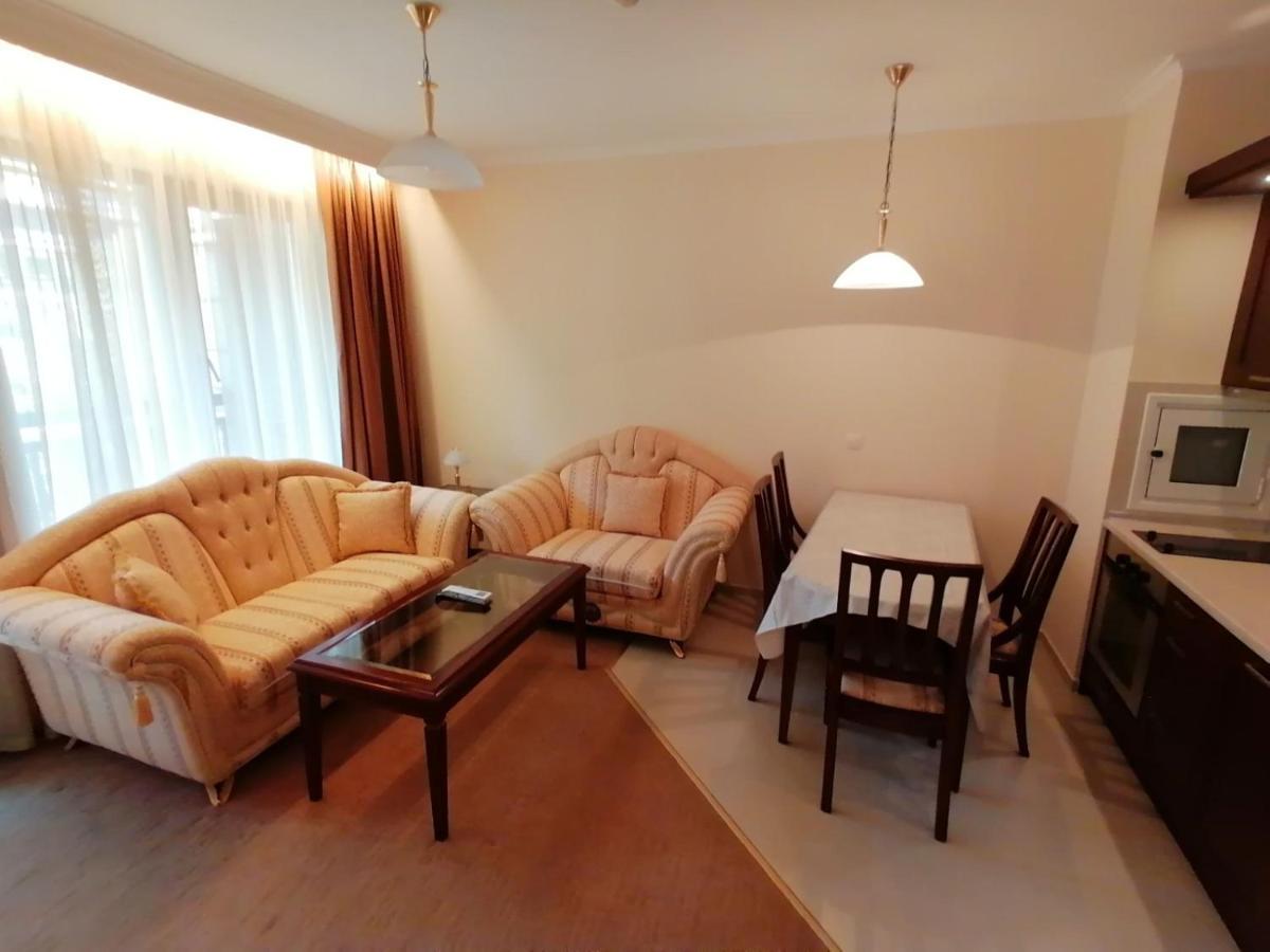 Downtown Apartments 班斯科 外观 照片